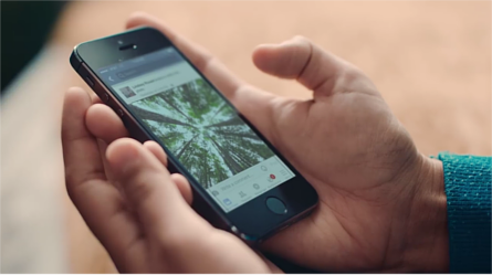 Hands holding an iPhone with Facebook app displayed. On screen is an image of trees in a forest. Image credit: Automatic Alternative Text by Facebook Accessibility