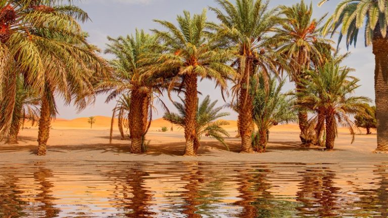 How Frequently the Sahara Experiences Floods (And Why It's Not Always Beneficial)