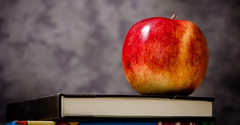 Apple resting on top of books in front of a blackboard